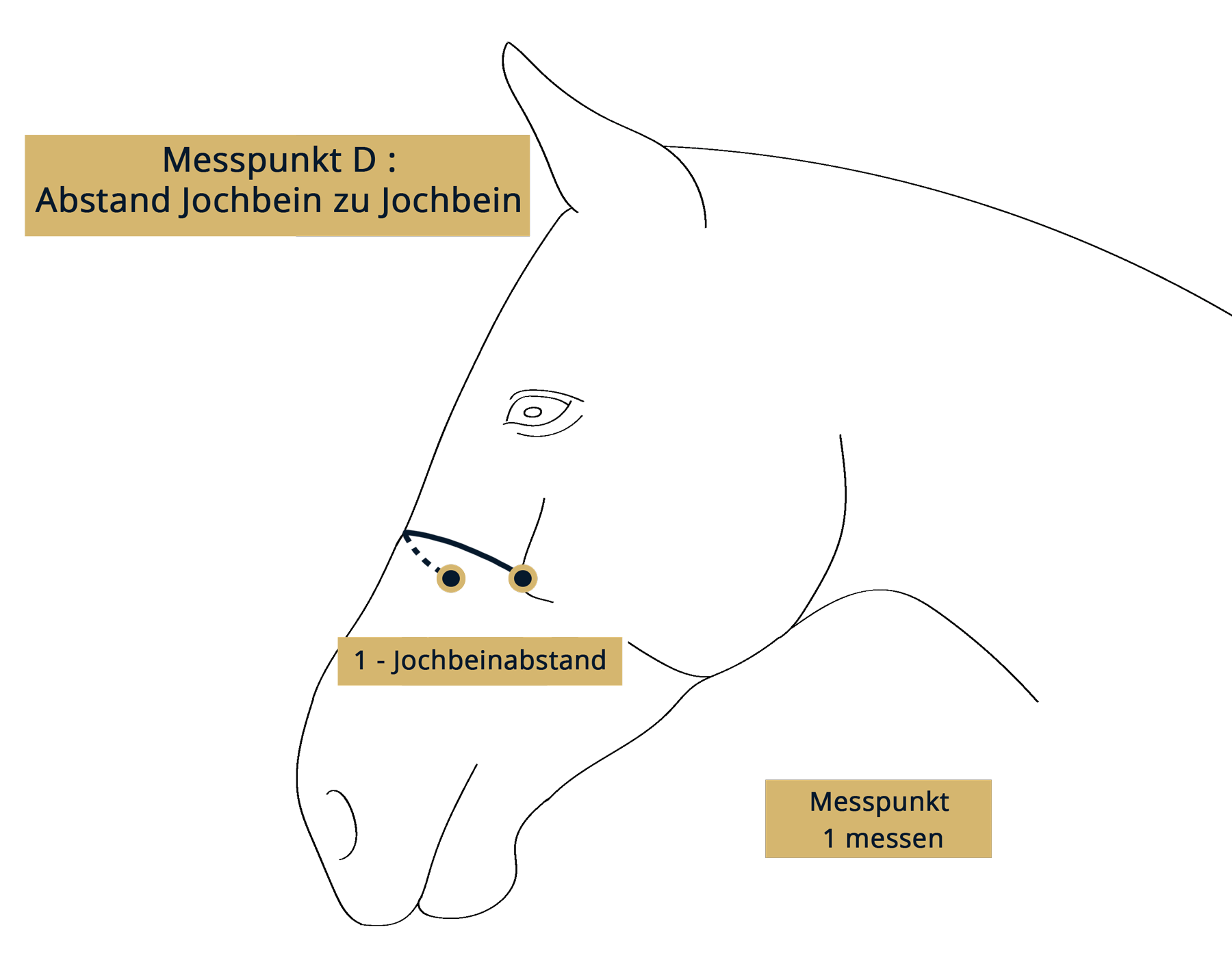 GF-Messpunkt-D-schwarz