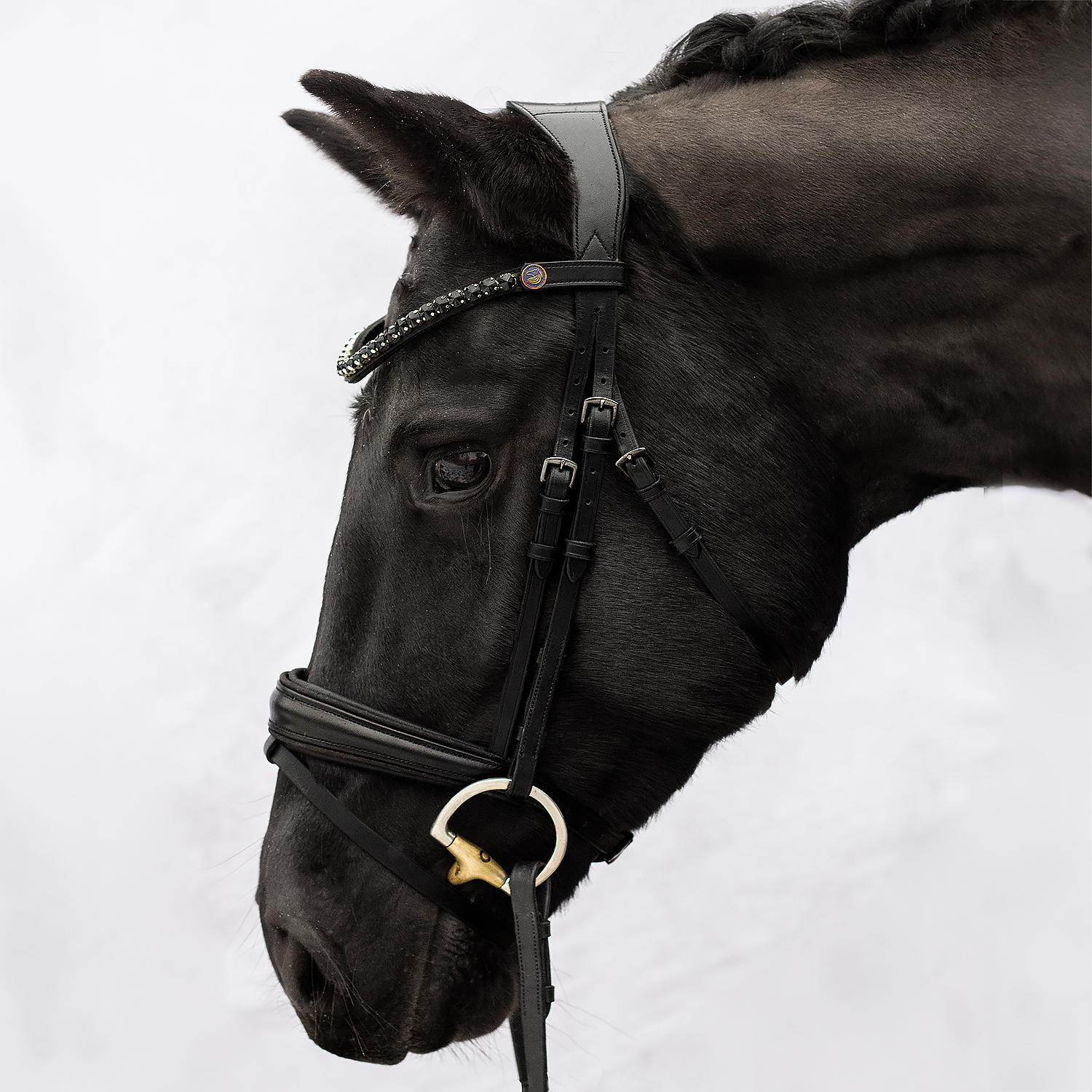 Trense Dark Midnight Warmblut