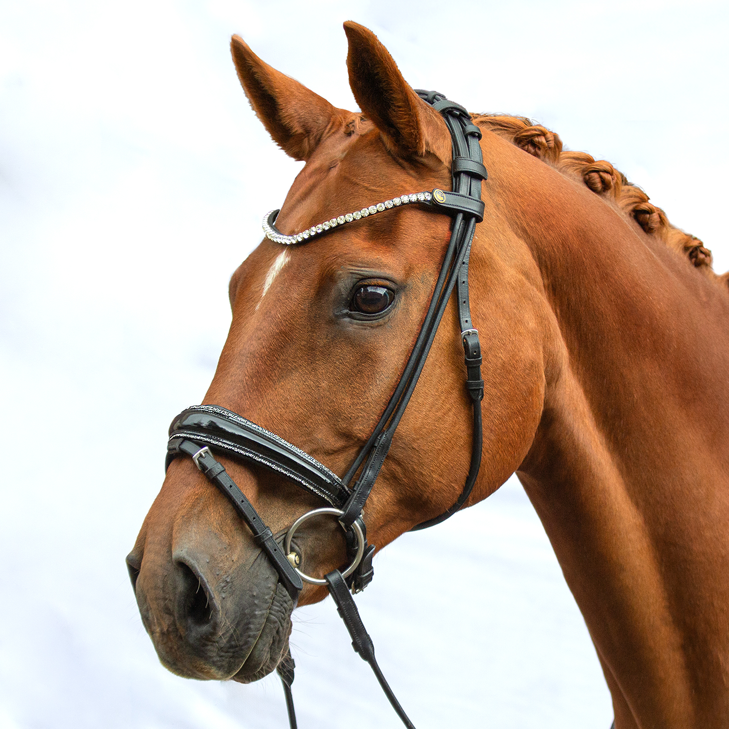 Design Your Bridle Classic