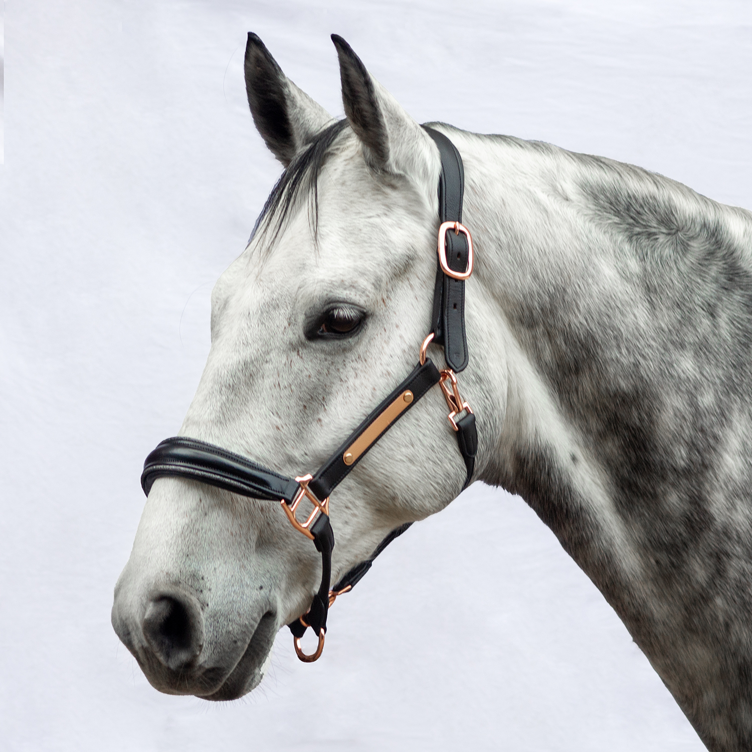 Soft-Lederhalfter Eternity Rosé Matt Grau Glitzer Warmblut